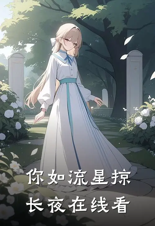 你如流星掠长夜在线看