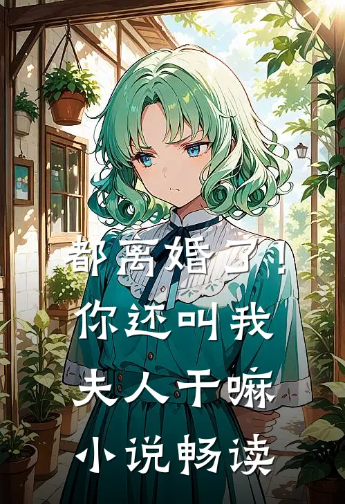 都离婚了！你还叫我夫人干嘛小说畅读