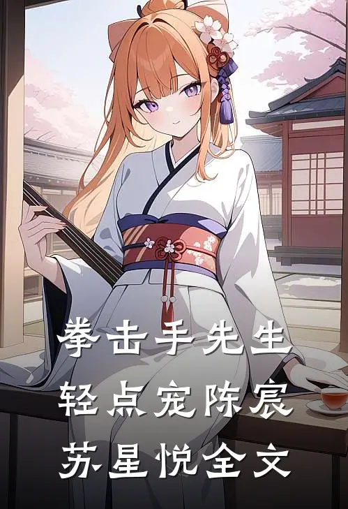 拳击手先生，轻点宠陈宸苏星悦全文