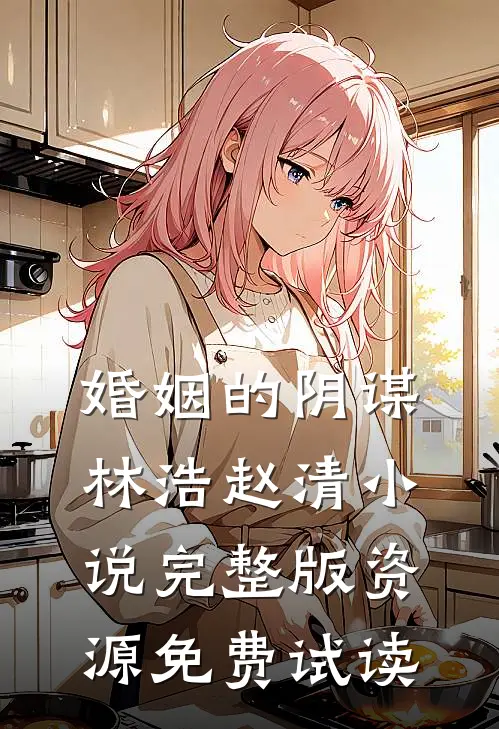 婚姻的阴谋林浩赵清小说完整版资源免费试读