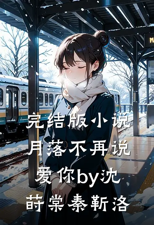 完结版小说月落不再说爱你by沈莳棠秦靳洛