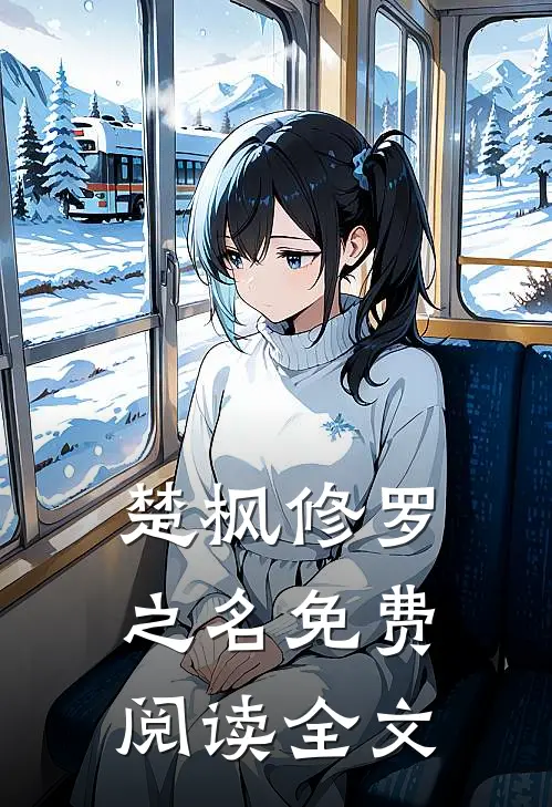 楚枫的小说