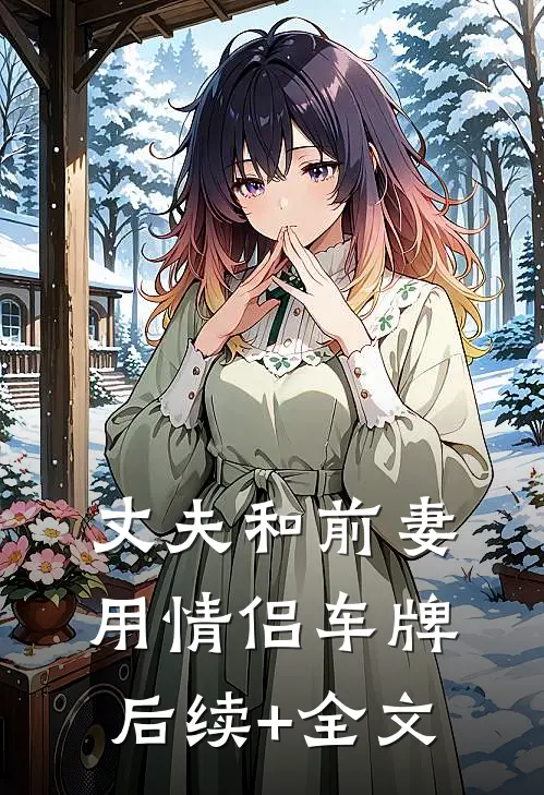 丈夫和前妻用情侣车牌后续+全文