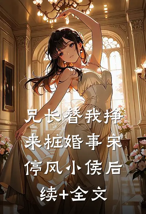 兄长替我挣来桩婚事宋停风小侯后续+全文