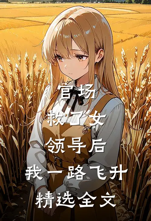 官场：救了女领导后，我一路飞升精选全文
