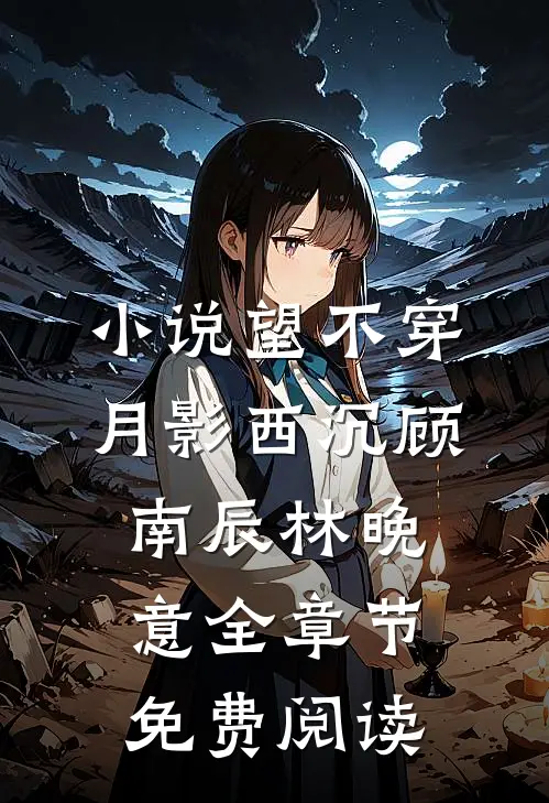 小说望不穿月影西沉顾南辰林晚意全章节免费阅读