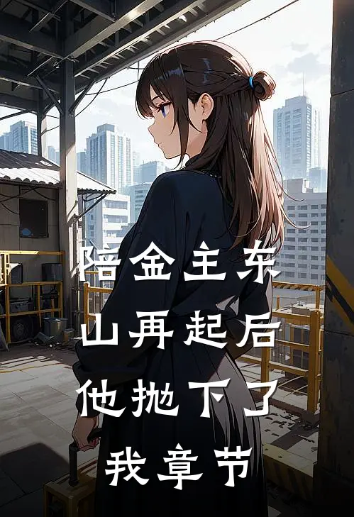 陪金主东山再起后，他抛下了我章节