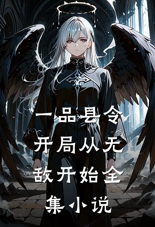 一品县令开局从无敌开始全集