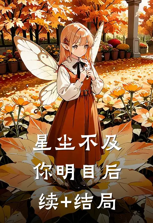 星尘不及你明目后续+结局