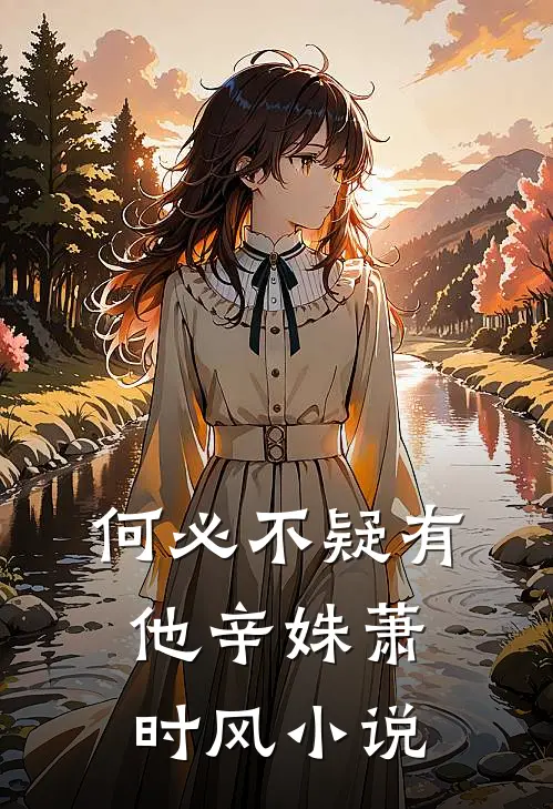 何必不疑有他辛姝萧时风小说