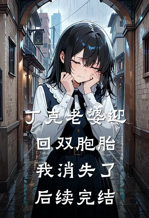 丁克老婆迎回双胞胎，我消失了后续完结