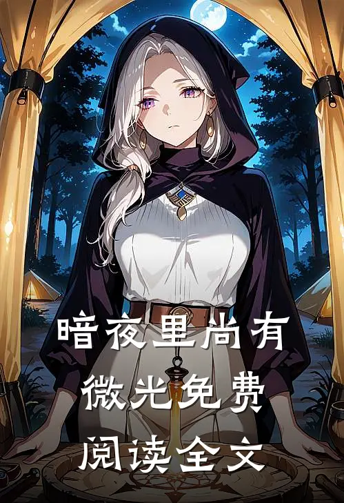 暗夜里尚有微光免费阅读全文